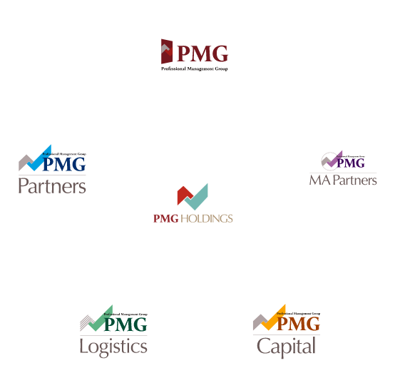 PMGホールディングスを中心としたPMGグループ各社の相関図