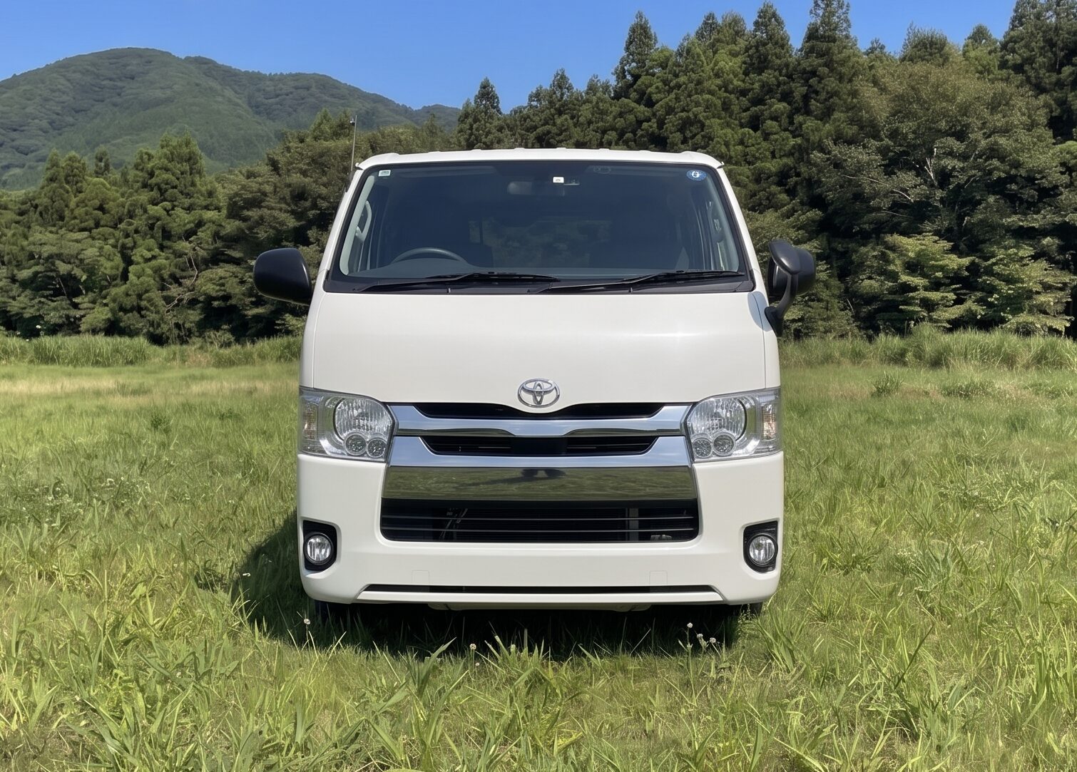 スライド画像