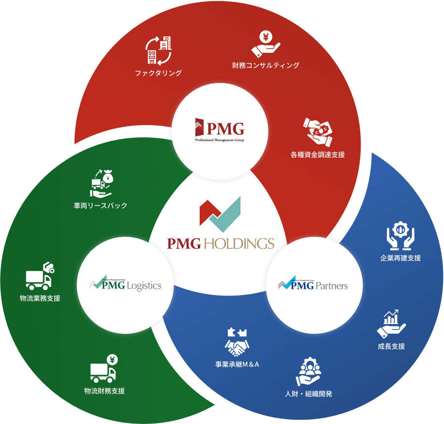 PMG HOLDINGS