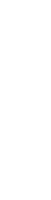 チャレンジする